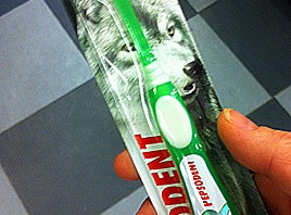 Pepsodent i vargdebatten