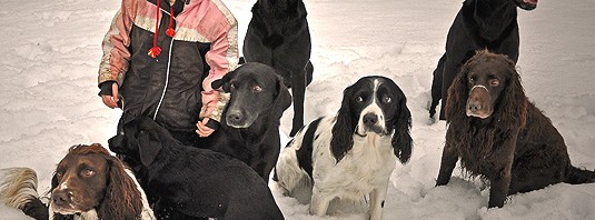 Jägare? Det är ditt fel.