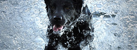 Att baka en promenadlimpa