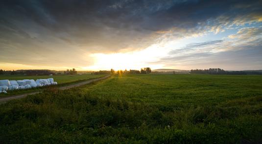 Det är närmare till Thailand. Foto: Oscar Lindvall