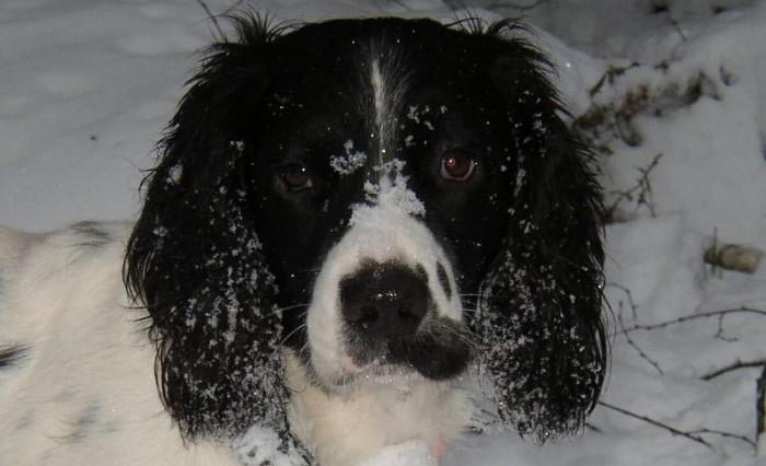 Fortfarande finns det lite tid kvar…