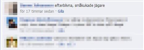 Exempel på jägaruppfattning.