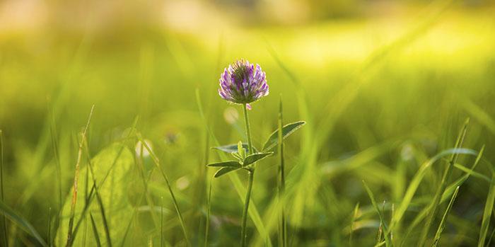 Skadade jägarna hånas – nu får det vara nog!