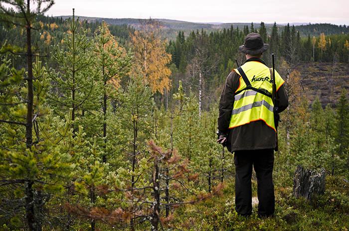 Tänker de jakt, kändisarna som jagar?
