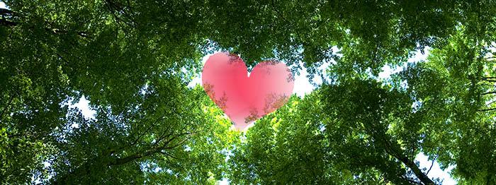 15 dejtingtips som ingen jägare kan motstå