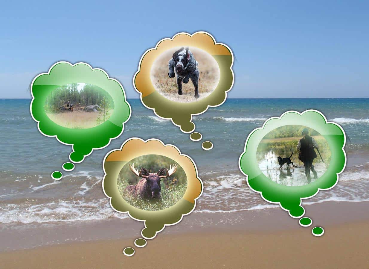 14 heta strandtips till jägare