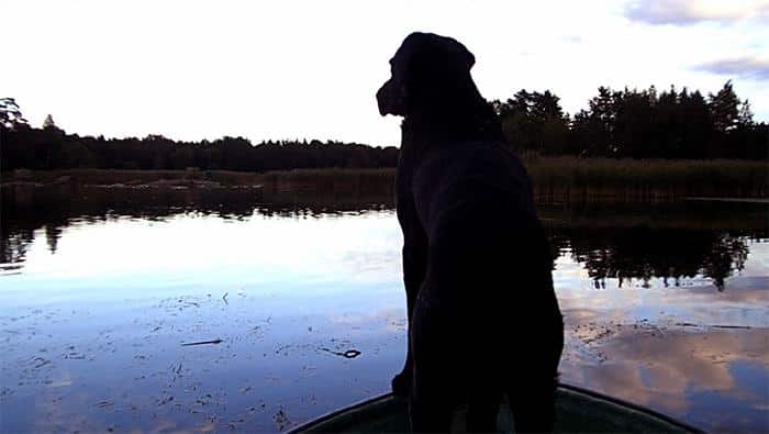 Det brukar vara lättare att säga adjö