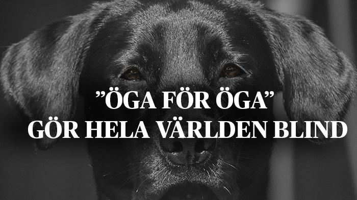Sluta hata! Argumentera med fakta!