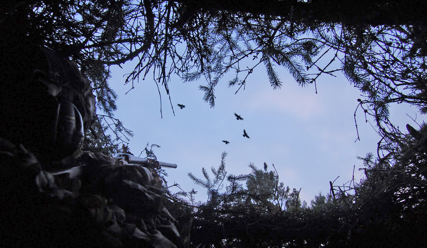 Så misslyckas du med kråkjakten