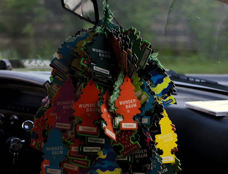 Årets nötter ur en jägares synvinkel