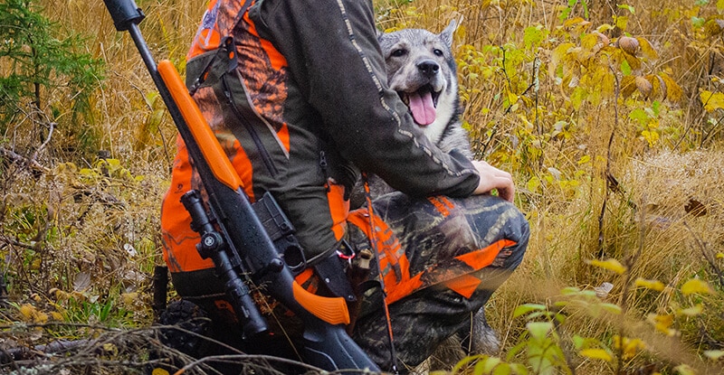 Ingen jaktsabotör sprutar frätande olja i min hunds ögon