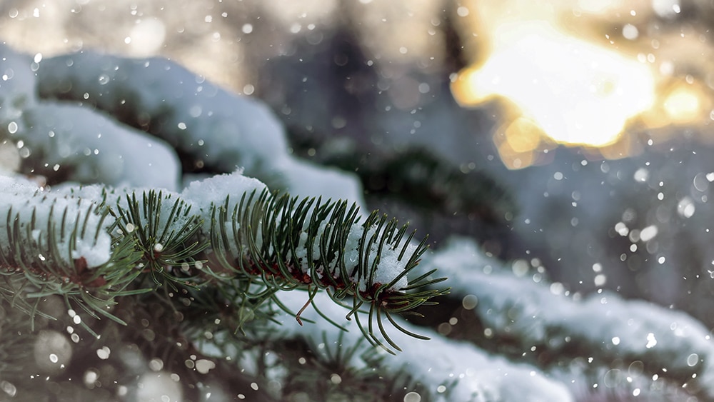 Hoten som borde föra oss samman