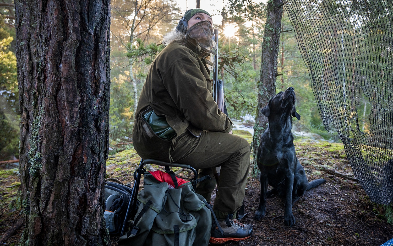 Vill Miljöpartiet förbjuda jaktglädje?