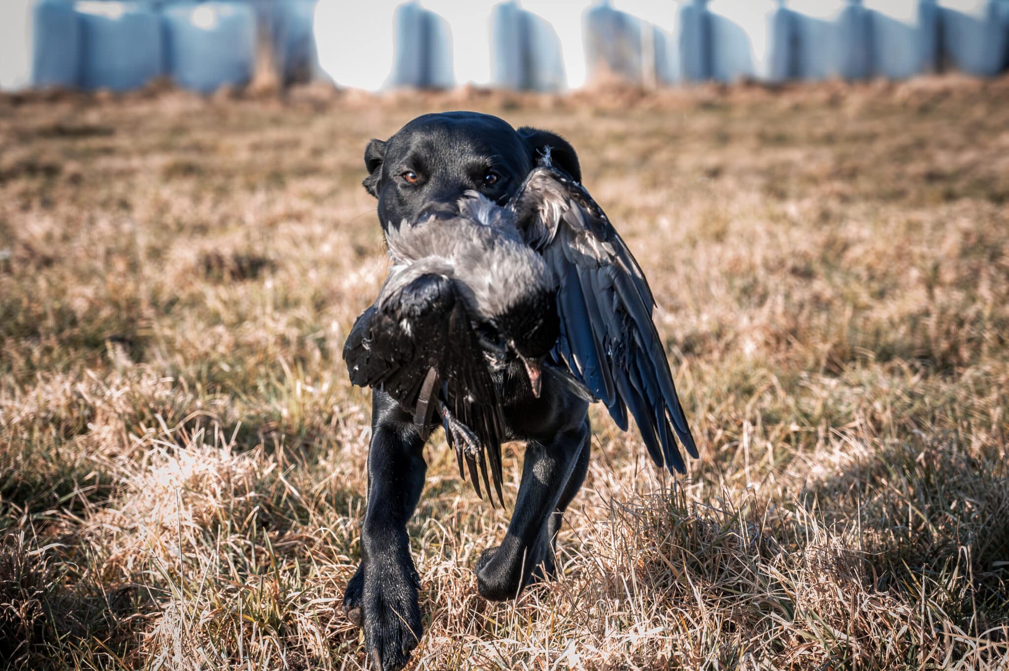 Vad blir det kvar till slut